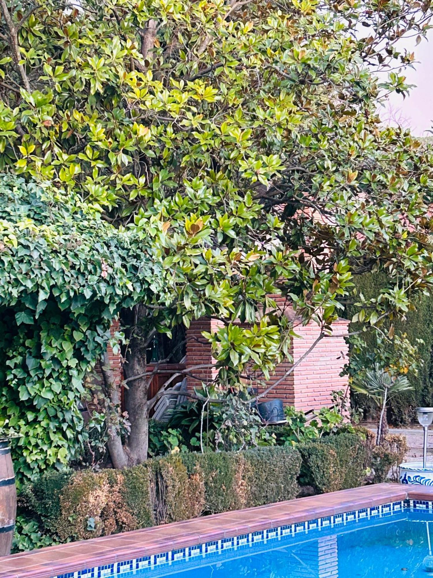 Casa Los Rosales Alfacar المظهر الخارجي الصورة