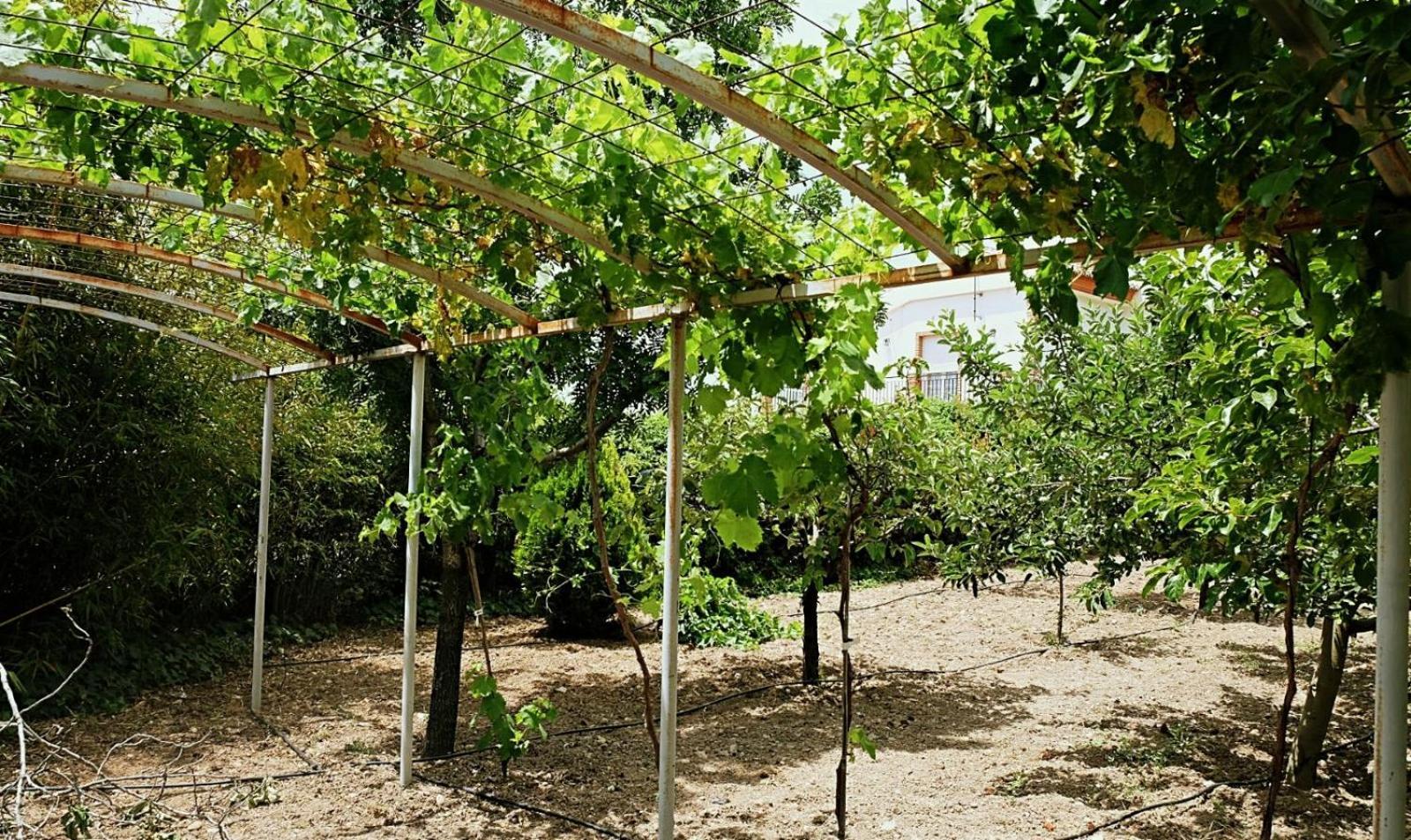 Casa Los Rosales Alfacar المظهر الخارجي الصورة