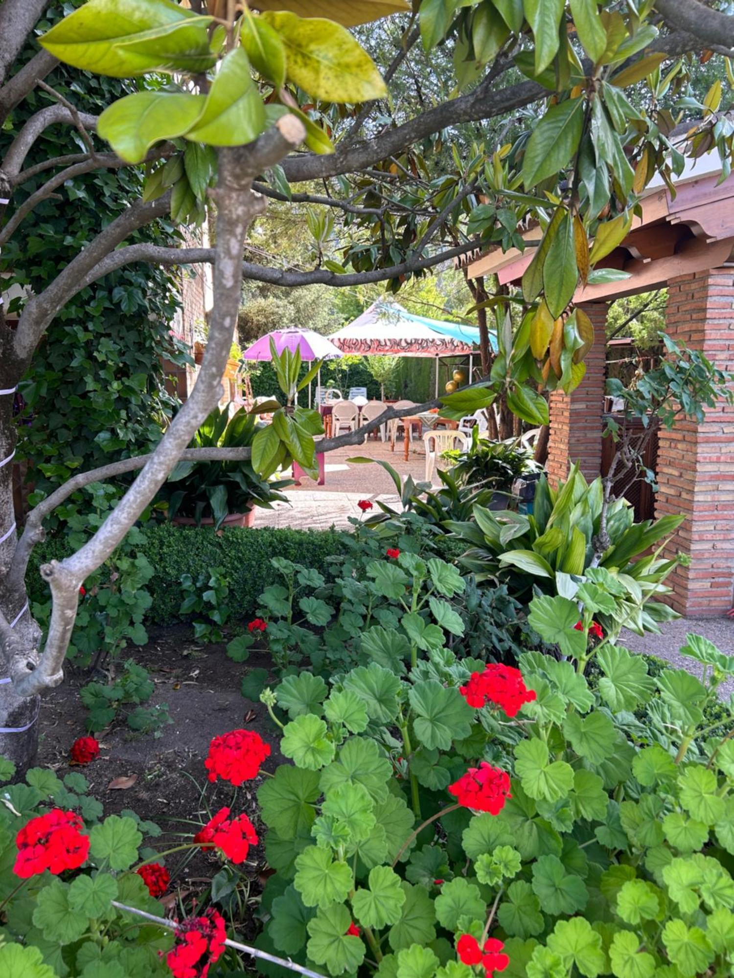 Casa Los Rosales Alfacar المظهر الخارجي الصورة